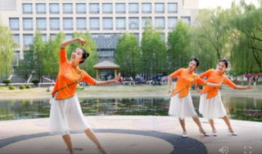 广场舞视频大全,视频大全精彩回顾